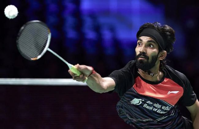 育活动的绝 育活动的绝